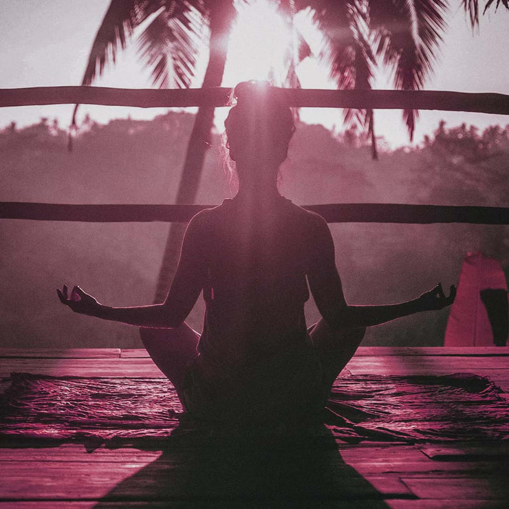 Organic Japanese Matcha Tea - Sold Out